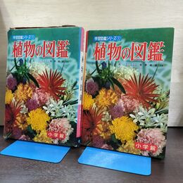 1_　植物の図鑑 小学館 学習図鑑シリーズ 1 010072