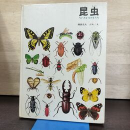 1_　昆虫　ちいさななかまたち 福音館かがくのほん　文・絵　得田之久 290177