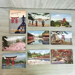 1_　計8枚 絵葉書 宮島の風光 安芸 原色版 大鳥居 神鹿 五重塔 風景 広島県 260021