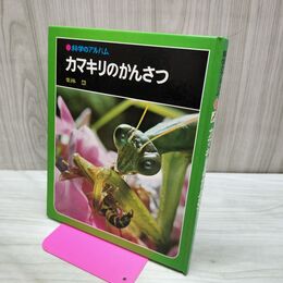 1_　科学のアルバム カマキリのかんさつ 040099