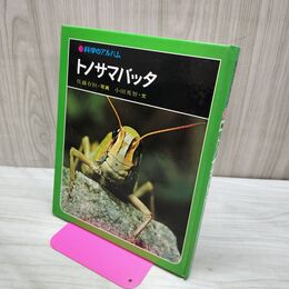 1_　科学のアルバム トノサマバッタ 040103