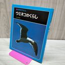1_　科学のアルバム ウミネコのくらし 040113