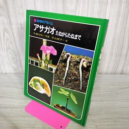 1_　科学のアルバム アサガオ たねからたねまで 040125