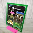 1_　科学のアルバム アサガオ たねからたねまで 040125