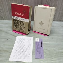 1_　新集 世界の文学 12 フォンターネ 付録付 中央公論社 040139
