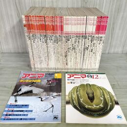 1_　計65冊 不揃い アニマ 1983~1988年 昭和58~63年 平凡社 010019