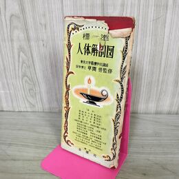 1_　標準 人体解剖図 草間悟 昭和35年 1960年 金園社 080140