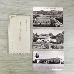1_　絵葉書 計3枚 岩手県立盛岡農学校 本校舎 寄宿舎 実習地の一部 絵はがき 120170