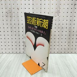 1_　芸術新潮 1984年 7月号 昭和59年 ロダンの女弟子 白川義員 中国十二景 120249