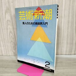 1_　芸術新潮 1986年 昭和61年2月1日 素人のための美術界入門 000352