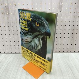 1_　鷲と鷹 Eagles Hawks Falcons 宮崎 学 平凡社 120217