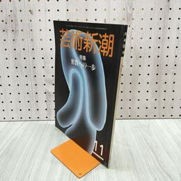 1_　芸術新潮 1984年 11月号 昭和59年 密教への一歩 120252