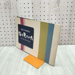 1_　映画パンフレット 海は見ていた 清水美砂 吉岡秀隆 遠野凪子 120272