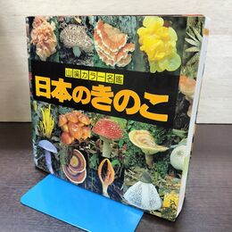 1_　日本のきのこ 山渓カラー名鑑 図鑑 山と渓谷社 ヨレあり 220097
