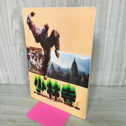 1_　映画パンフレット 少林寺 リー・リン・チェイ 220169