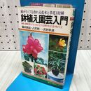 1_　鉢植え園芸入門 篠田朗彦 吉沢利一 沢村秋雄 日本文芸社 070127