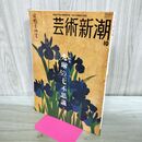 1_　芸術新潮 2005年 10月 平成17年 光琳の七不思議 170374