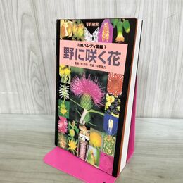 1_　山溪ハンディ図鑑1 野に咲く花 平野隆久 240451