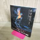 1_　カワセミ ある日、カワセミに出会いました。 240295
