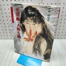 1_　水墨画 人物を描く 水墨画の達人シリーズ 21 林崢明 サイン？入り 240291