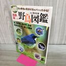 1_　四季で楽しむ野鳥図鑑 野鳥全400種掲載 真木広造 240452