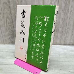 1_　書道入門 全 大貫思水 昭和56年 1981年 カビ臭あり 280130