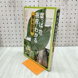 1_　葉っぱ・花・樹皮でわかる樹木図鑑 池田書店 280030