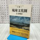 1_　琉球文化圏とは何か (別冊『環』) (別冊環 6) 300356