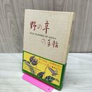 1_　野の草の手帖 尚学図版と岩崎灌園 全カラー図版 300214