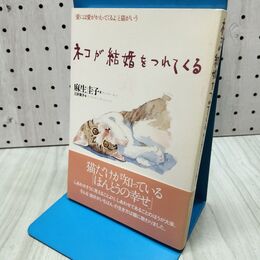 1_　ネコが結婚をつれてくる: 愛には愛がかえってくるよと猫がいう 麻生 圭子 040389