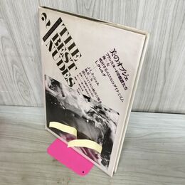 1_　世界のベストヌードシリーズ 2 美のオブジェ THE BEST NUDES L.クレルグ J-L.ミッシェル 000256