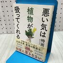 1_　悪い気は植物が吸ってくれる 時雨 060334