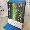 1_　木の癒し ギーゼラ プロイショフ 120358