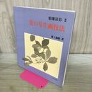 1_　花の写生画技法 (鉛筆淡彩 2) 浦上 義昭 120436