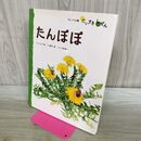 1_　たんぽぽ (フレーベル館だいすきしぜん しょくぶつ 1) フレーベル館 タバコ臭有 120019