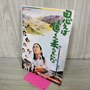 1_　映画パンフレット 思えば遠くへ来たもんだ 武田鉄矢 あべ静江 170072