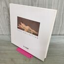 1_　図録 HOKI COLLECTION 2010 ホキ美術館 森本草介 野田弘志 中山忠彦 タバコ臭有 000977
