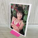 1_　池上麗子 写真集 Soft Bomb カビ臭有 000919