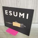1_　ESUMI: 藤井保写真集 江角マキコ 藤井 保 000834