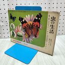1_　科学クラブ 創刊号 虫の生活　きのことかび 秋がきた　古川晴男　川西良吉 1956年 昭和31年 目次欠 240395
