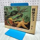 1_　科学クラブ 第11号 海べの生物・水泳のしかた　高槻俊一　川西良吉 1957年 昭和32年 240409