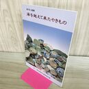 1_　海を越えて来たやきもの 一乗谷の貿易陶磁器 福井県 240271