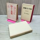 1_　精選 名著復刻全集 近代文学館 病める薔薇 佐藤春夫 ほるぷ出版 020361