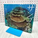 1_　サンゴの森 (そうえんしゃ・写真のえほん 3) キャサリン ミュジック 020123