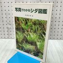 1_　写真でわかるシダ図鑑 池畑 怜伸 020272