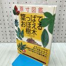 1_　原寸図鑑葉っぱでおぼえる樹木 柏書房 020300