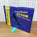 1_　クジラの海 岩合光昭 110452