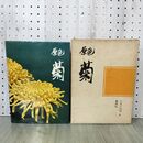 1_　原色 菊 小玉三代司 040470