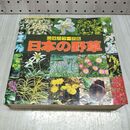 1_　三渓カラー名鑑 日本の野草 040238
