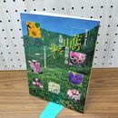 1_　ガイドブック 花の山 秋田駒ヶ岳・乳頭山を歩く 田沢湖町観光協会 160384